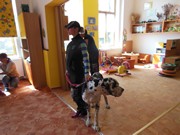 Bezpečný pes - kynologie